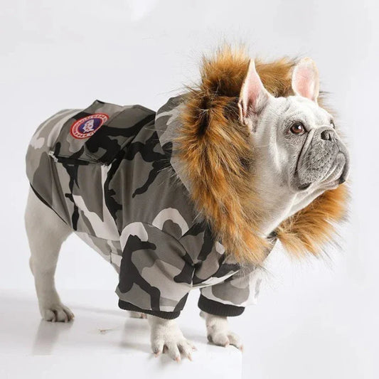 Dog Winter Jacket