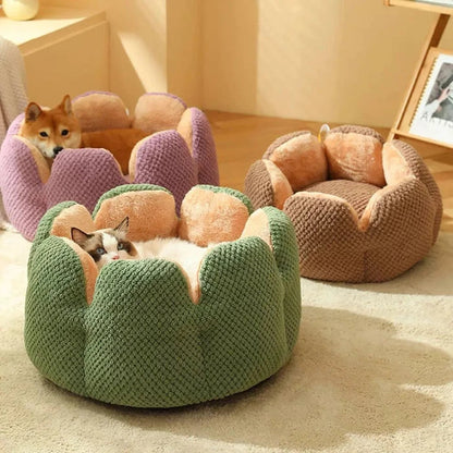 Cactus Pet Bed
