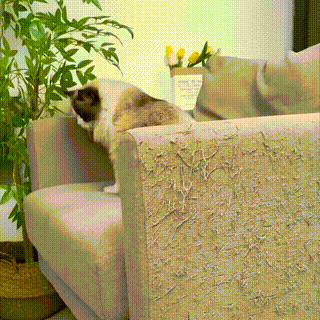 🔥Now at a reduced price of 50% off🐱 Scratching mat for cat furniture protection