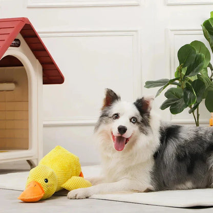 Duck Dog Toy