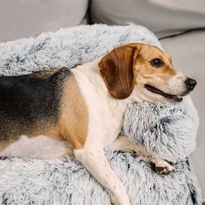 Dog Couch Bed
