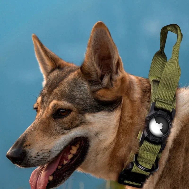 Tactical Dog Collar