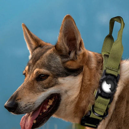 Tactical Dog Collar