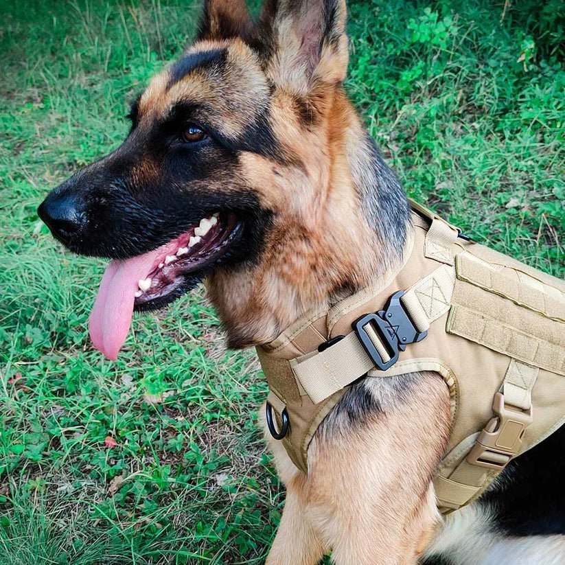 Tactical Dog Harness