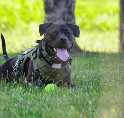 Tactical Dog Harness
