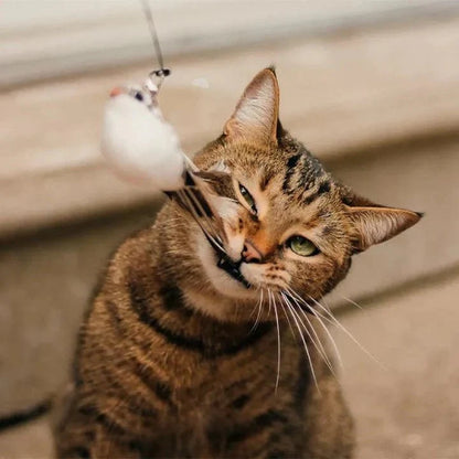 Interactive Bird Cat Toy