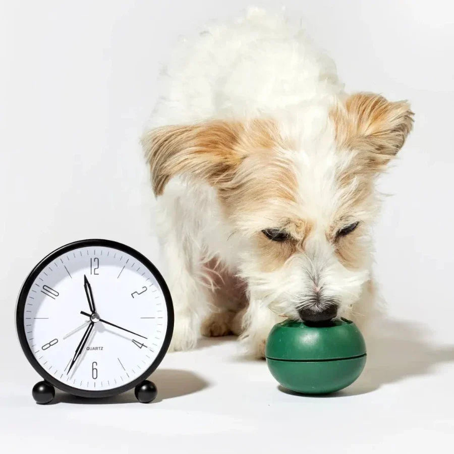 Freezable Dog Toy