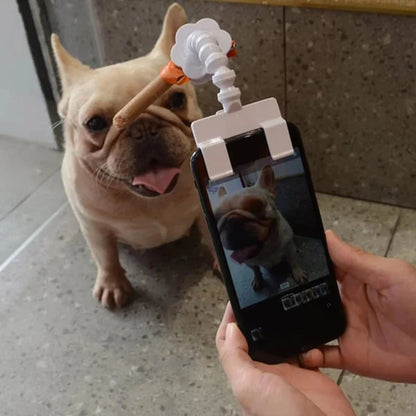 Pet Selfie Stick