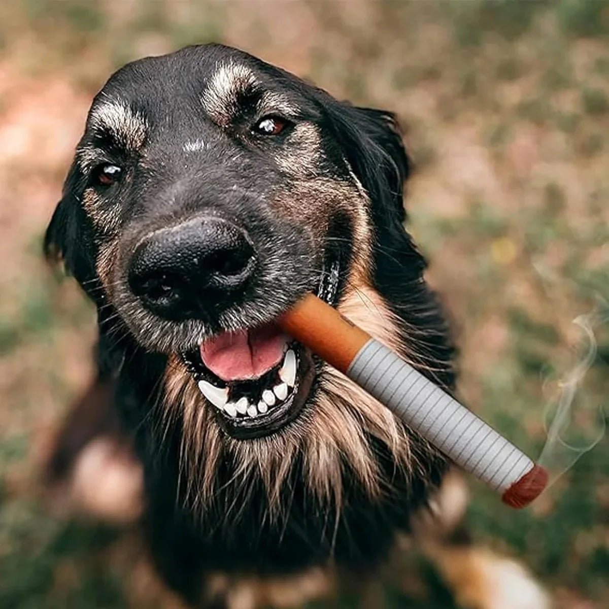 Cigarette Dog Toy