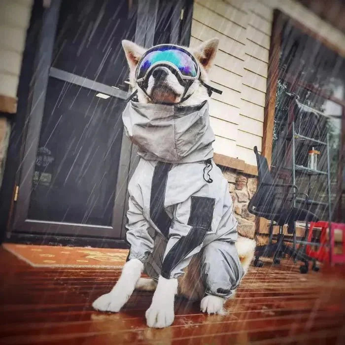 Dog Rain Coat