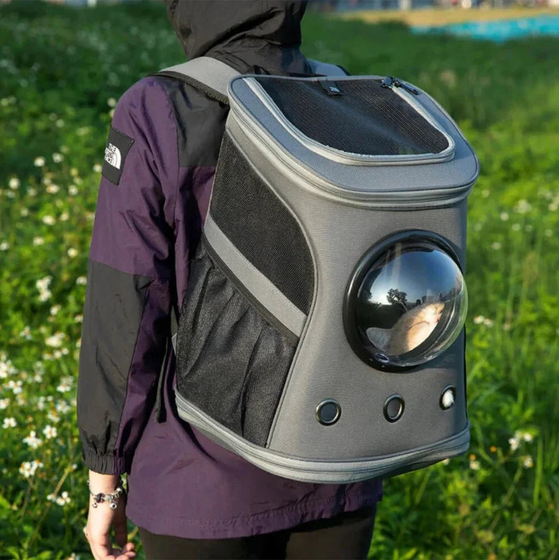 Cat Bubble Backpack