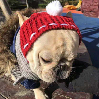 French Bulldog Hat with Ears