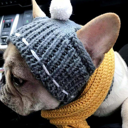 French Bulldog Hat with Ears